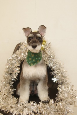 IMGP1428_Resize 2.JPG